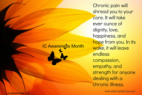 2014 IC Awareness Month Poster Contest Third Place Winner